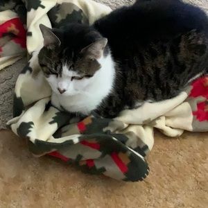 Meet your Posher, Lea